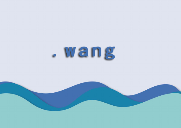 wang域名是什么意思