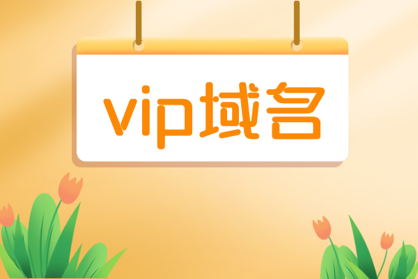 vip域名有价值吗
